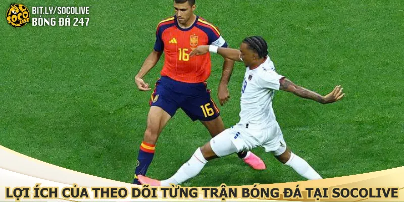 loi-ich-cua-theo-doi-tung-tran-bong-da-tai-socolive