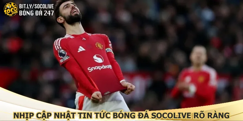 nhip-cap-nhat-tin-tuc-bong-da-socolive-ro-rang-moi-ngay