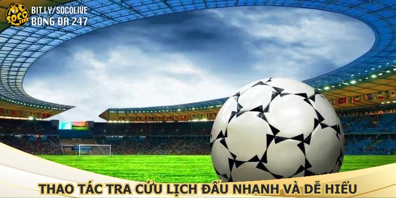 thao-tac-tra-cuu-lich-dau-nhanh-va-de-hieu