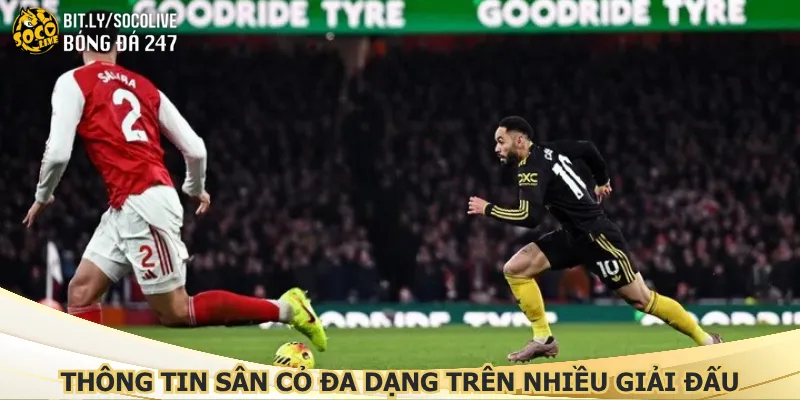 thong-tin-san-co-da-dang-tren-nhieu-giai-dau